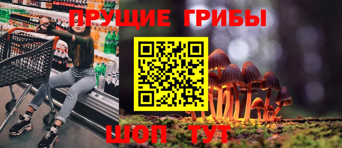 Череповец  Галлюциногенные грибы Cubensis  Вход с VPN  Псилоцибиновые грибы GOLDEN TEACHER 