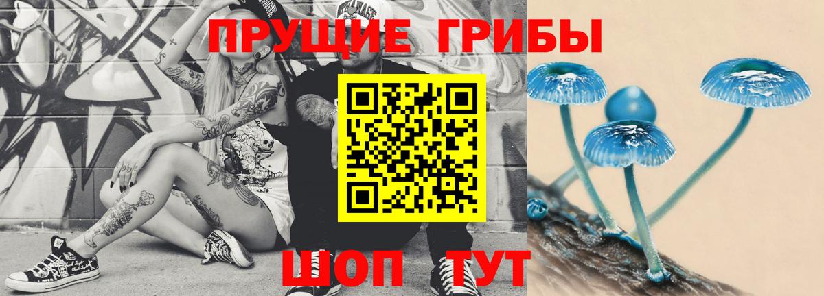 Псилоцибиновые грибы ЛСД  Череповец 