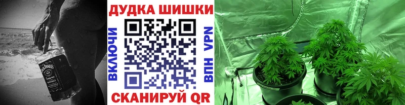 Бошки марихуана сатива купить наркотики сайты Череповец